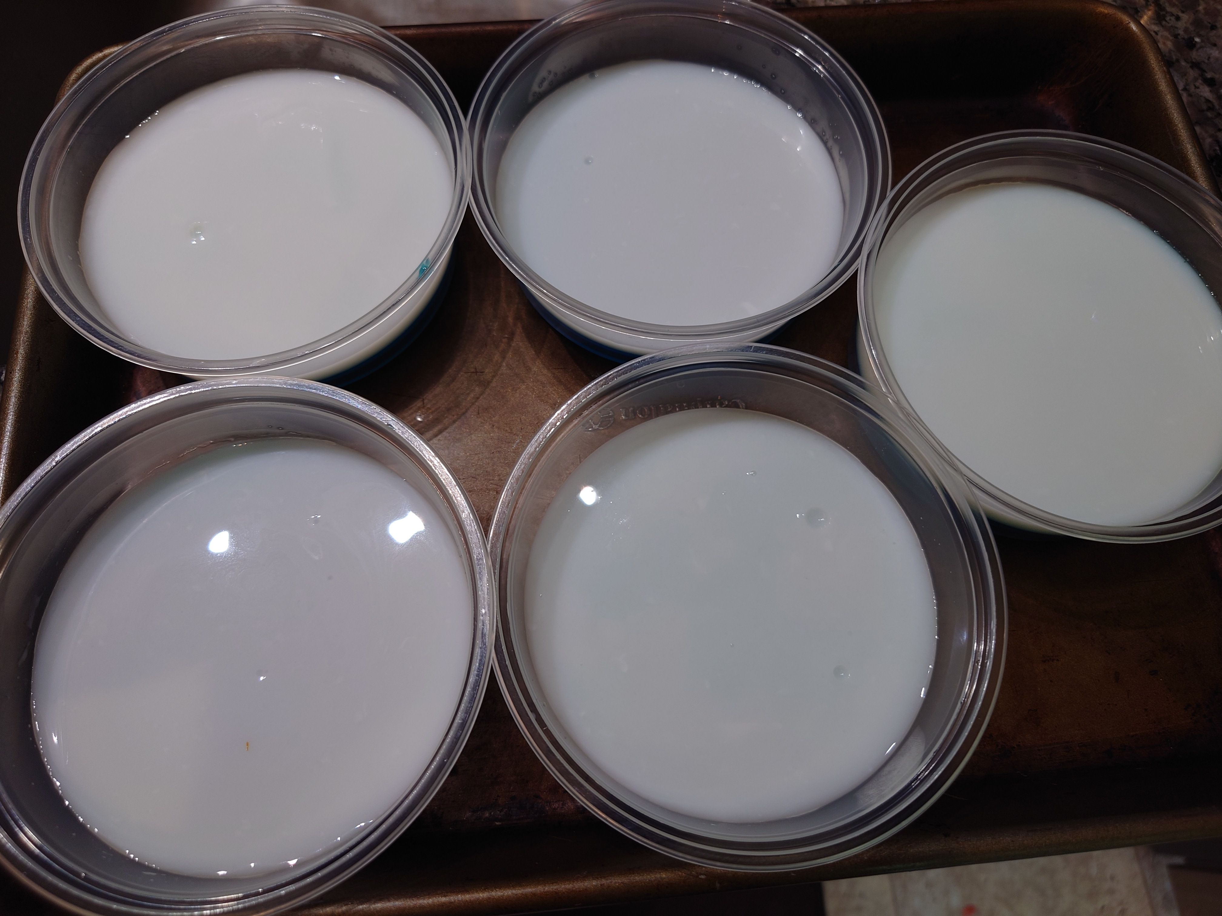 Red, White, and Blue Jello Gelatin Dessert Stuff!